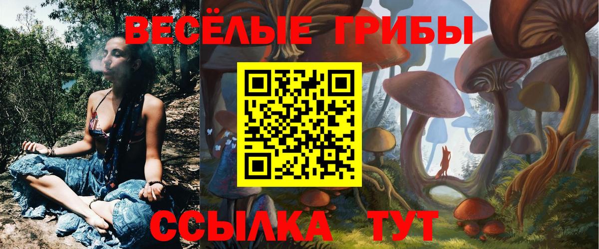 даркнет сайт  Псилоцибиновые грибы Magic Shrooms  Вход с VPN  Нижневартовск 